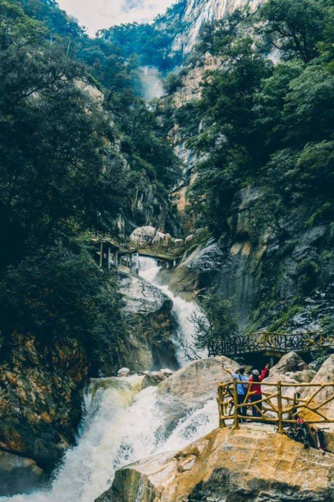 萝卜怎么选